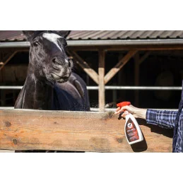 SPRAY ANTI RONGEMENT 550ML LEOVET