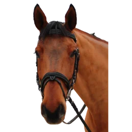BRIDON MYLORD CANTER