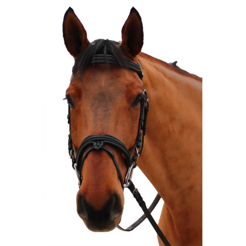 BRIDON MYLORD CANTER