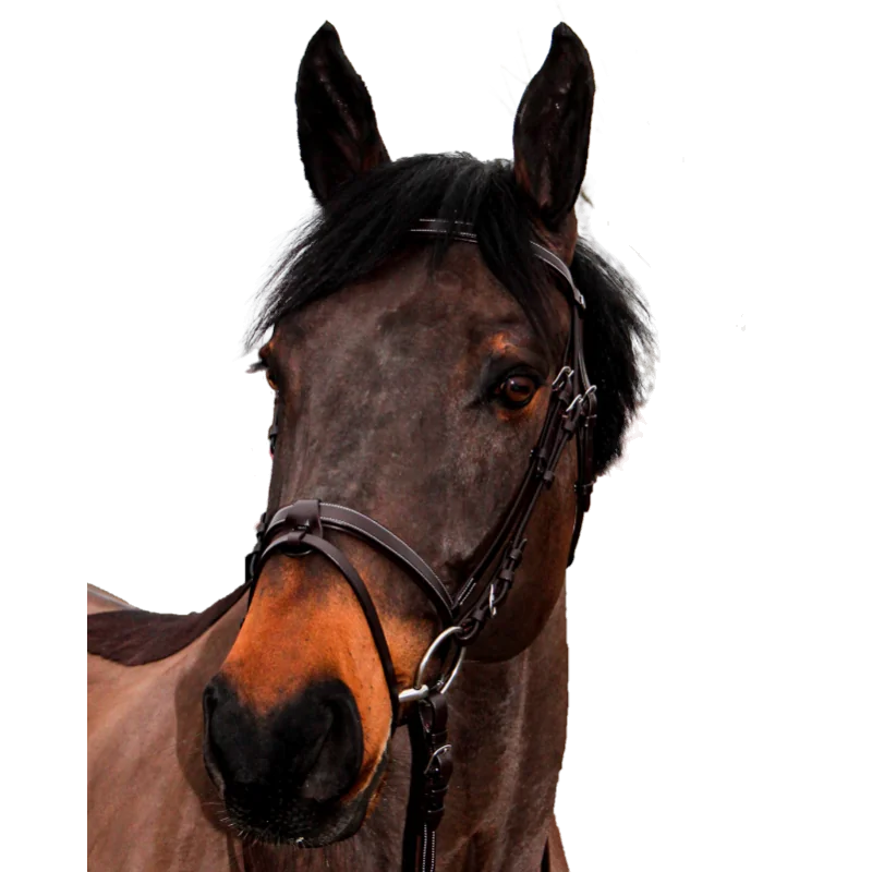 BRIDON CLUB CANTER