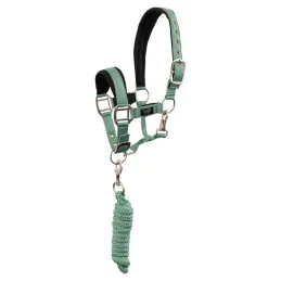 LICOL+LONGE BR MINI HORSE