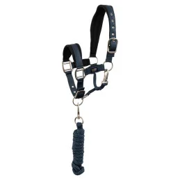 LICOL+LONGE BR MINI HORSE