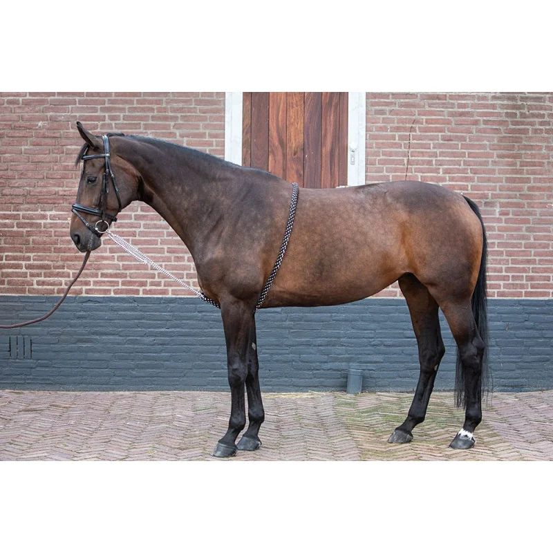 ENRENEMENT CORDE HARRY'S HORSE