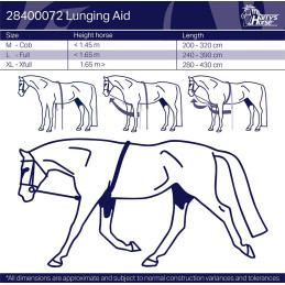 ENRENEMENT CORDE HARRY'S HORSE