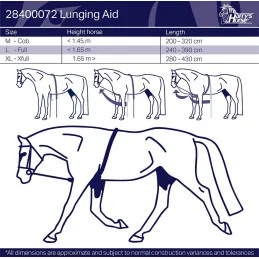 ENRENEMENT CORDE HARRY'S HORSE