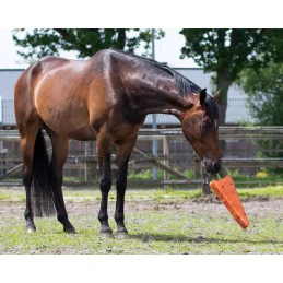JOUET POUR CHEVAUX XL QHP