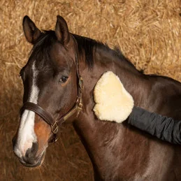 GANT MERINO HARRY'S HORSE