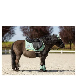 TAPIS BR MINI HORSE