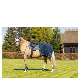 TAPIS BR MINI HORSE