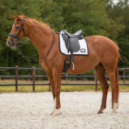TAPIS DE CONCOURS AVEC NUMEROS QHP