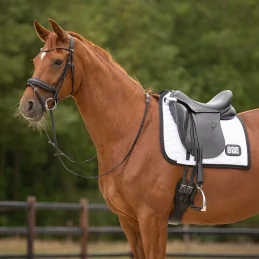 TAPIS DE CONCOURS AVEC NUMEROS QHP