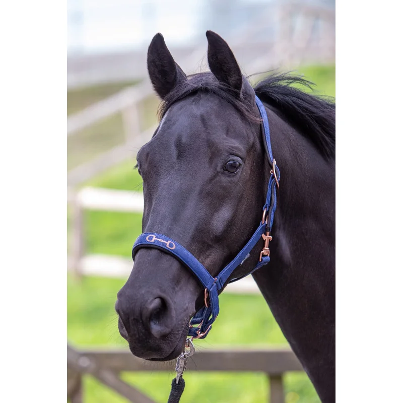 LICOL MORS HARRY'S HORSE
