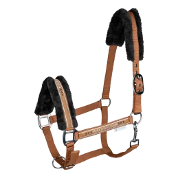 LICOL ELEGANT MOUTON WALDHAUSEN