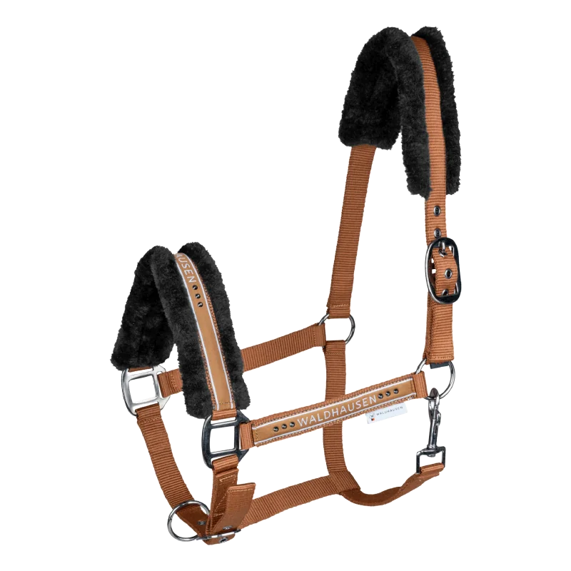 LICOL ELEGANT MOUTON WALDHAUSEN