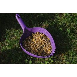 MESURE A GRAIN SHARK HIPPOTONIC