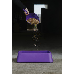 MESURE A GRAIN SHARK HIPPOTONIC