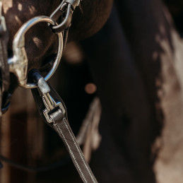 RENES FAYREN PRESTEQ