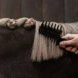 PEIGNE PINCE PIONS QHP