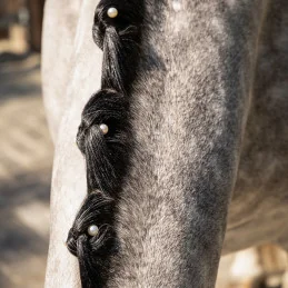 PERLES BLANCHES POUR PIONS QHP