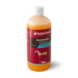 SHAMPOING 500ML PASKACHEVAL