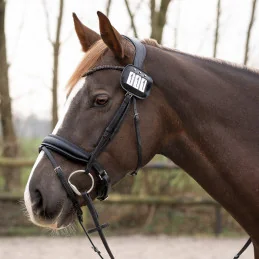PORTE NUMEROS PAR 2 VERNIS QHP