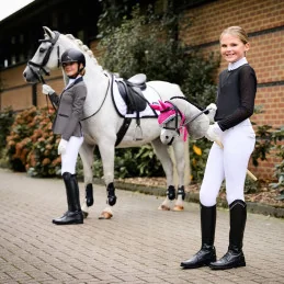 HOBBY HORSE QHP