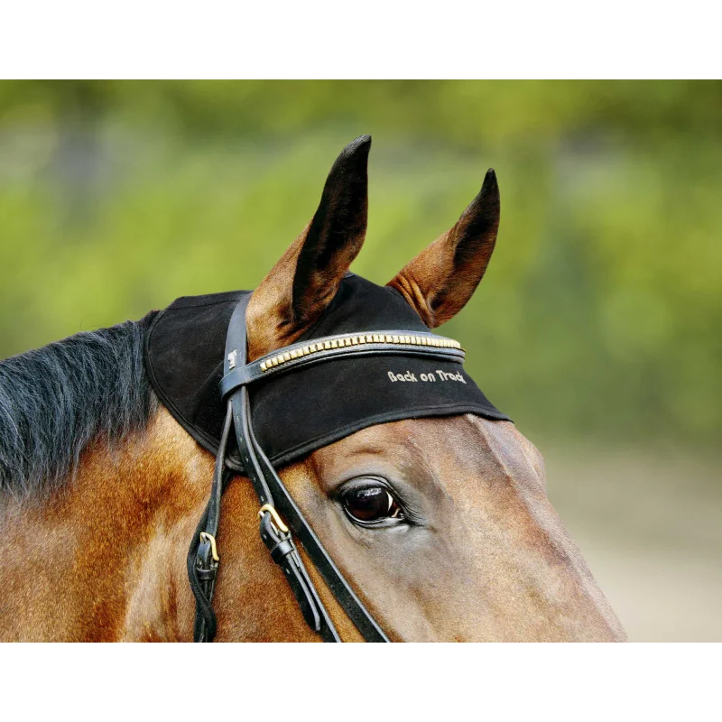 PROTEGE NUQUE BACK ON TRACK