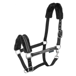 LICOL ELEGANT MOUTON WALDHAUSEN