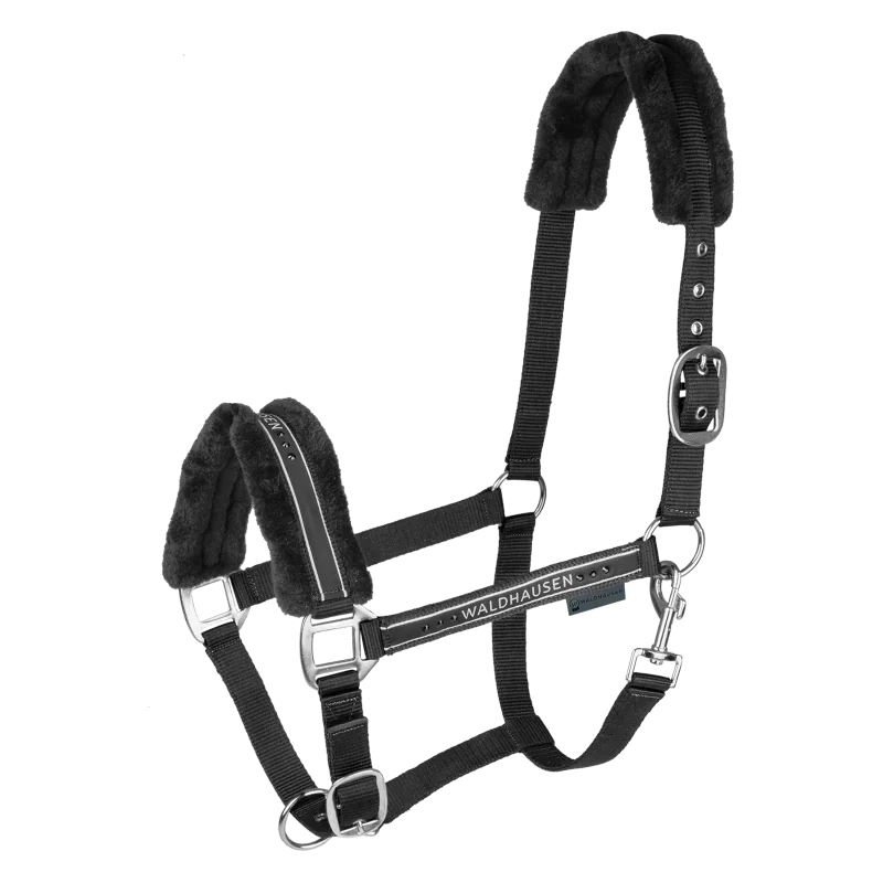 LICOL ELEGANT MOUTON WALDHAUSEN