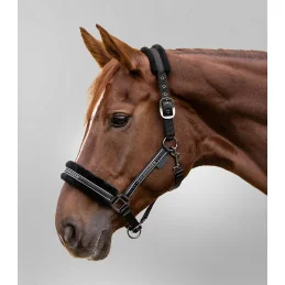 LICOL ELEGANT MOUTON WALDHAUSEN