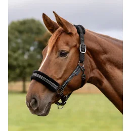 LICOL ELEGANT MOUTON WALDHAUSEN