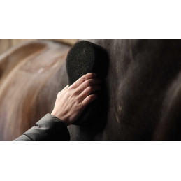 EPONGE SHINE SCRUBBER NOIRE LAMI-CELL