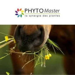 PHYTOMASTER JUMENT