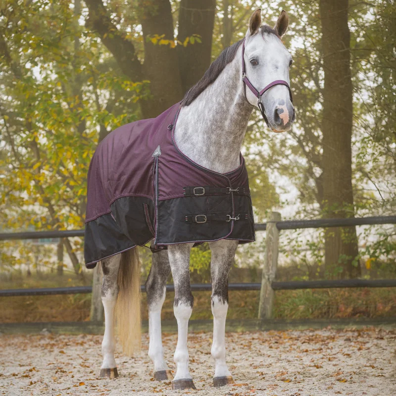 Couverture de paddock cheval 150g imperméable 1200D QHP