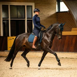 GANT AVELIE QHP