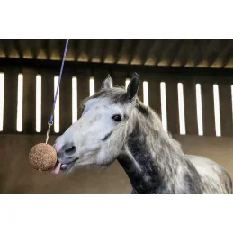 LIKIT SNACK BALL GRANOLO 1.6KG
