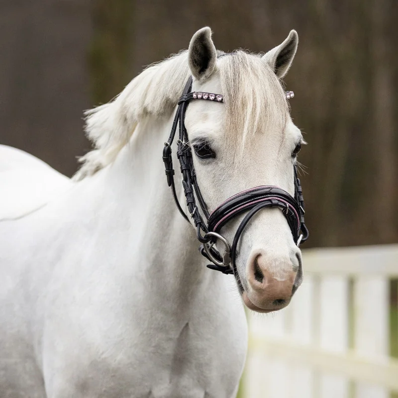 BRIDON BIXIE QHP