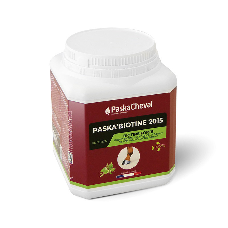 PASKA' BIOTINE 2015 1KG PASKACHEVAL