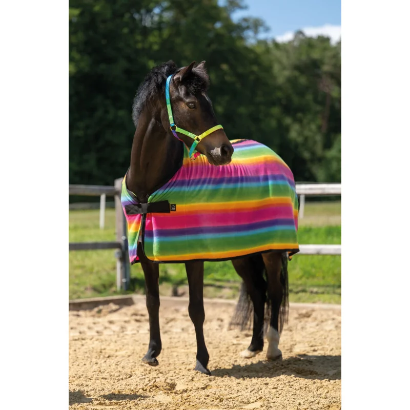CHEMISE POLAIRE RAINBOW RAYURES MULTICOLORES HKM