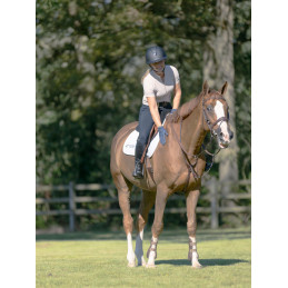 CASQUE SHADOWGLOSSY 2.0 SAMSHIELD