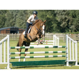 CASQUE SHADOWGLOSSY 2.0 SAMSHIELD