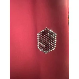 VESTE CONCOURS VICTORY FLOWER CRYSTAL FW25 SAMSHIELD