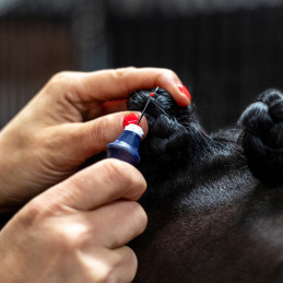 DECOUSEUR A PIONS BLEU MARINE QHP