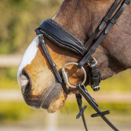 REMBOURRAGE MUSEROLLE ECHANGEABLE SKYE QHP