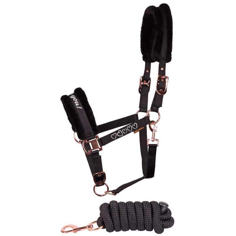 LICOL+LONGE LOVE HARRY HORSE