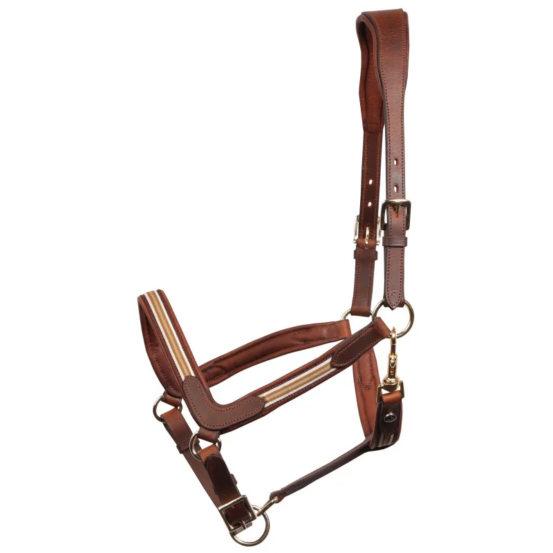 LICOL CUIR FLASH HARRY'HORSE