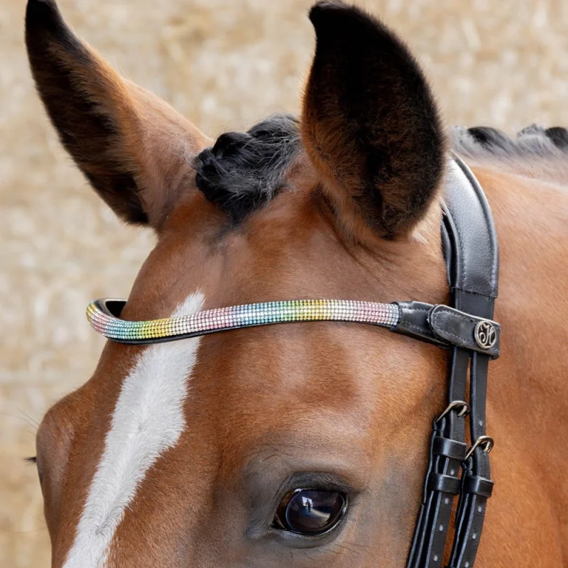 FRONTAL RAINBOW MULTICOLORE HARRY'S HORSE