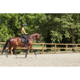 TAPIS BICROSS MATTGLOSS HERITAGE 25/26 ESKADRON