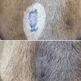 BAUME PROTECTEUR ET HYDRATANT ANTI UV 500ML NELLUMBO