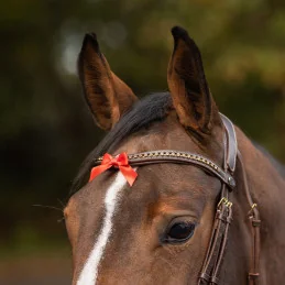 PETIT NOEUD ROUGE QHP